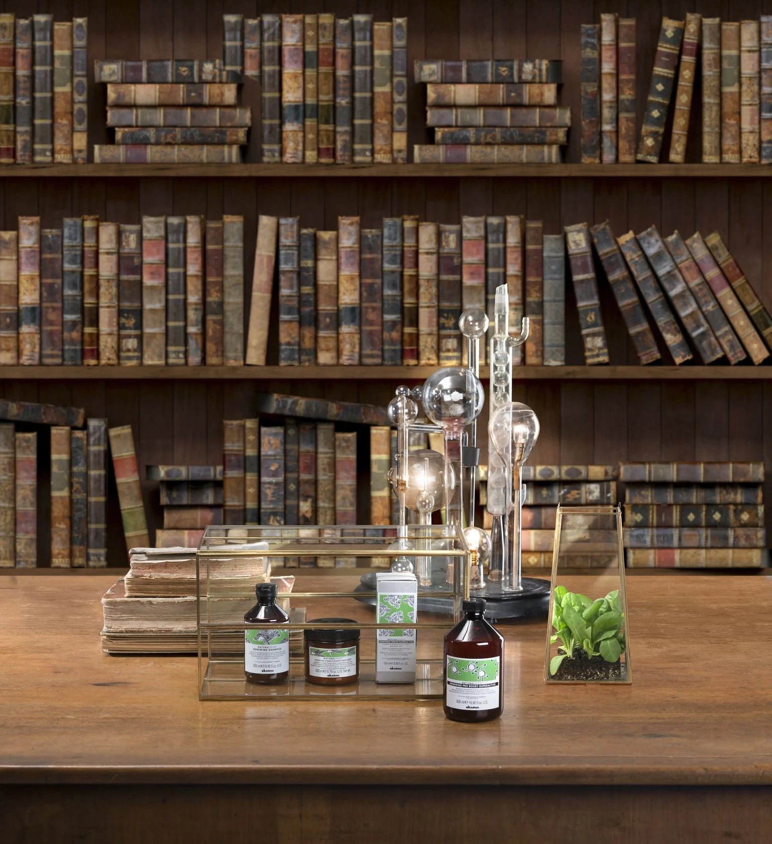 RENEWING Conditioning Treatment